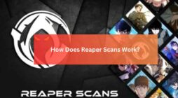 How Does Reaper Scans Work? 