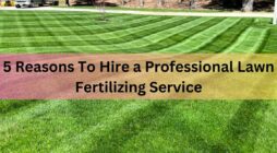 5 Reasons To Hire a Professional Lawn Fertilizing Service