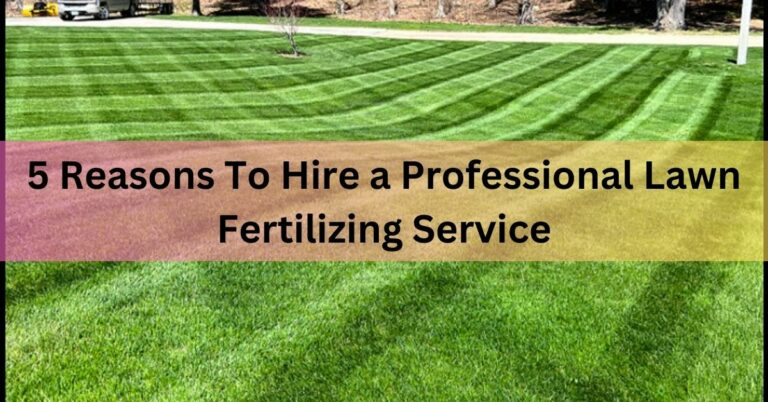 5 Reasons To Hire a Professional Lawn Fertilizing Service