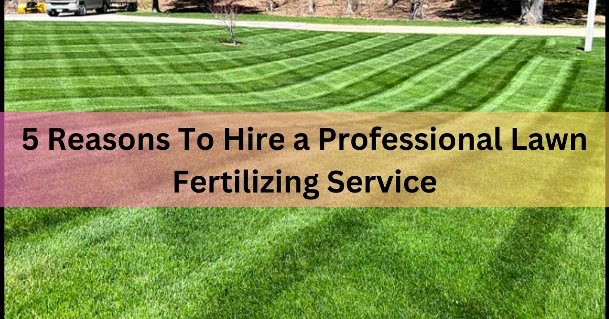 5 Reasons To Hire a Professional Lawn Fertilizing Service