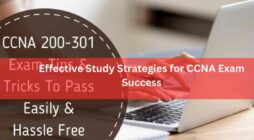 Effective Study Strategies for CCNA Exam Success