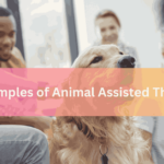 7 Examples of Animal Assisted Therapy