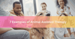 7 Examples of Animal Assisted Therapy
