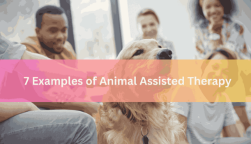 7 Examples of Animal Assisted Therapy (2)