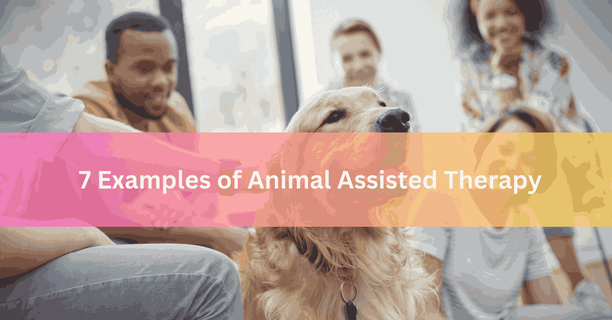 7 Examples of Animal Assisted Therapy (2)