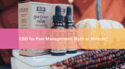 CBD for Pain Management Myth or Miraclе
