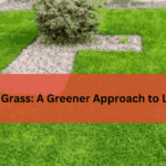 Artificial Grass A Greener Approach to Lawn Care