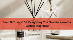 Reed Diffusers 101 Everything You Need to Know for Lasting Fragrance