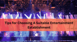 Tips for Choosing A Suitable Entertainment Establishment