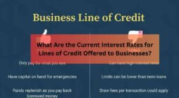 What Are the Current Interest Rates for Lines of Credit Offered to Businesses