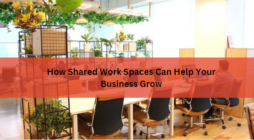 How Shared Work Spaces Can Help Your Business Grow