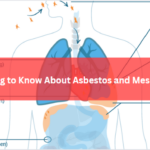 Everything to Know About Asbestos and Mesothelioma