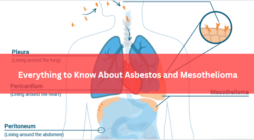 Everything to Know About Asbestos and Mesothelioma