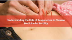 Understanding the Role of Acupuncture in Chinese Medicine for Fertility