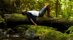 Natural Ways to Support Stress Relief and Relaxation