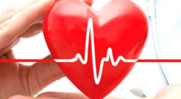 The Importance of Heart Health in Men’s Overall Health
