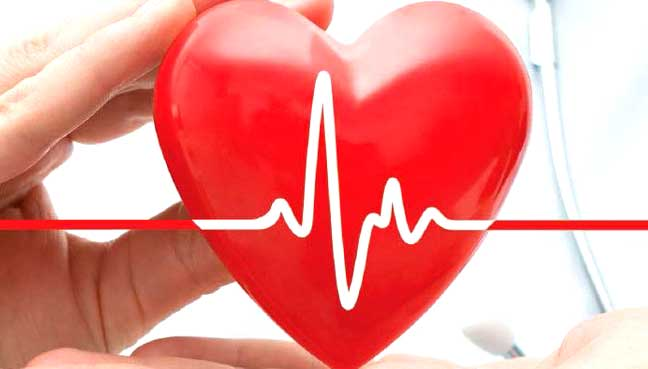 The Importance of Heart Health in Men’s Overall Health