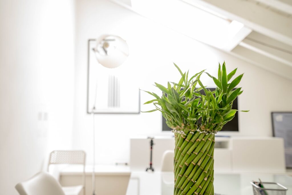 The Benefits of Inpatient Alcohol Rehab