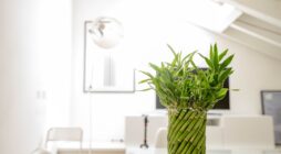 The Benefits of Inpatient Alcohol Rehab