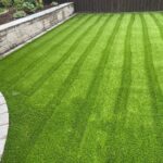 What It Takes to Have a Lawn That Looks Good All Year