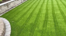 What It Takes to Have a Lawn That Looks Good All Year