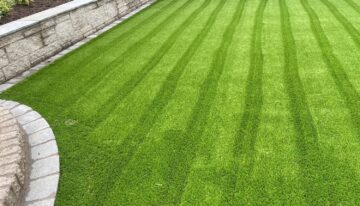 What It Takes to Have a Lawn That Looks Good All Year