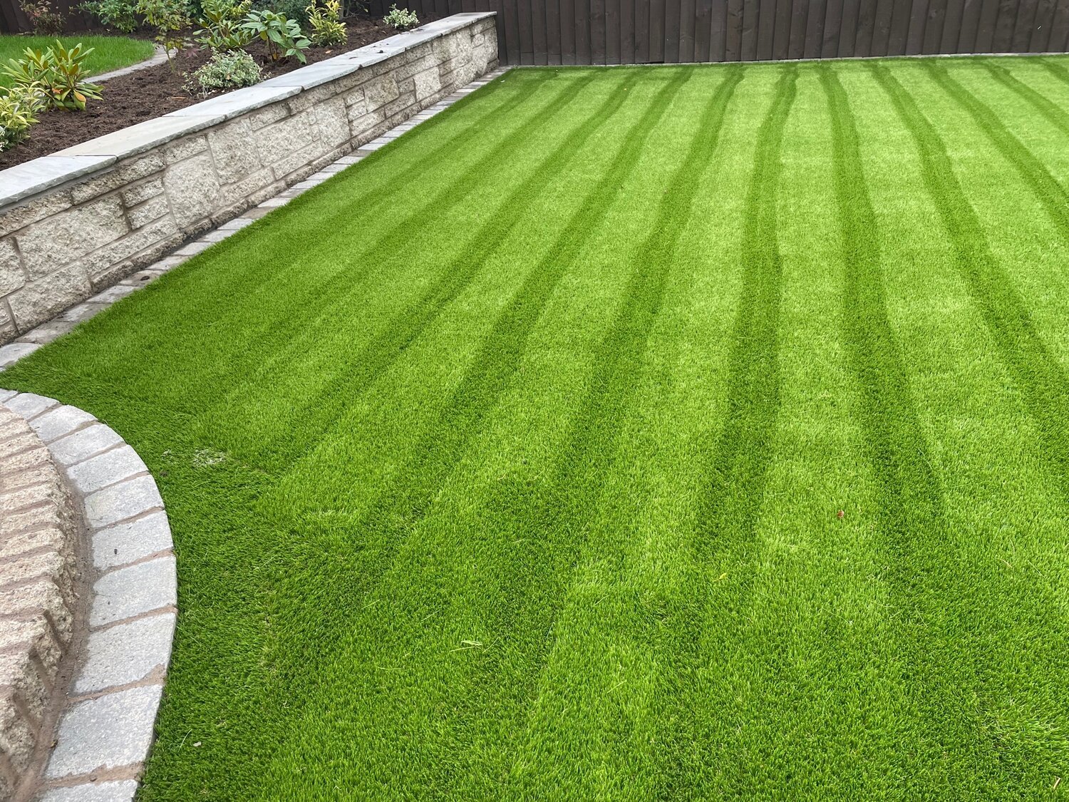 What It Takes to Have a Lawn That Looks Good All Year