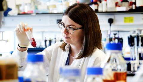 Breaking New Ground: Recent Advances in Alzheimer's Disease Research