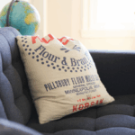 Everything You Need to Know About BBL Pillows