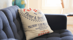 Everything You Need to Know About BBL Pillows