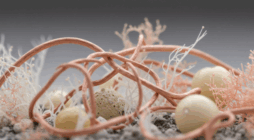 Innovation in Photography: How Manufacturing Partnerships Drive Creative Possibilities