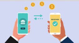 Top 4 Low-Cost Methods to Transfer Money from India to the USA