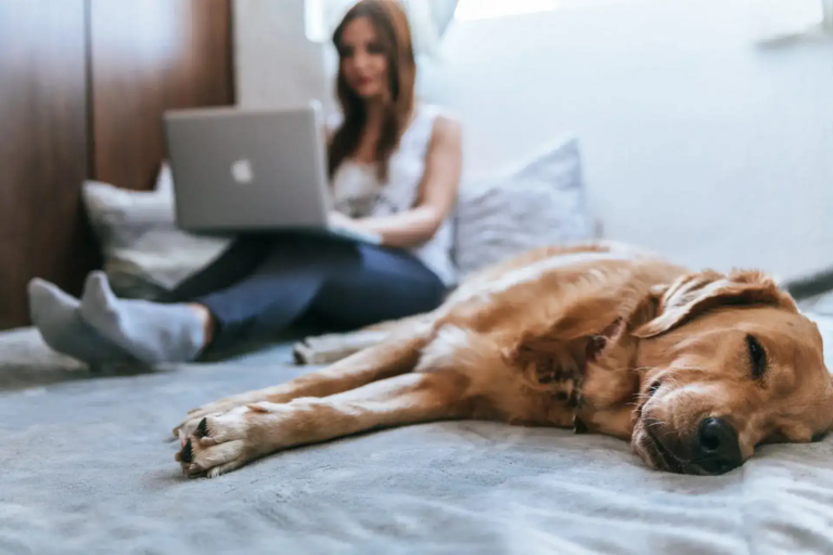 Smart Pet Care Tips Every Pet Owner Should Know